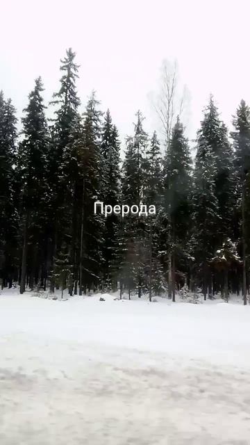 природа до деревни