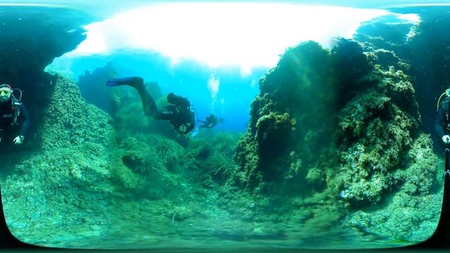 posidonia e passaggio