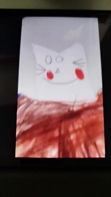 котокоробка