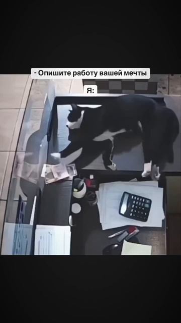 Работа мечты😍