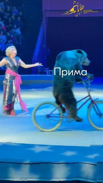 Всем кататься!