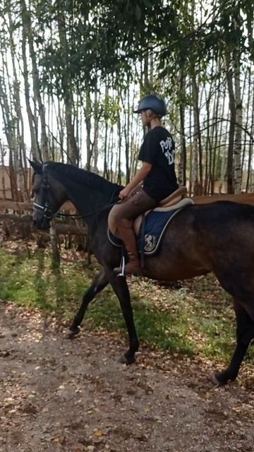 Урок верховой езды