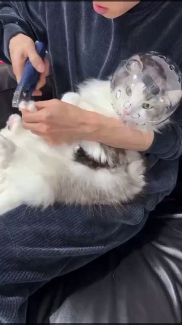 Какое полезное приобретение!