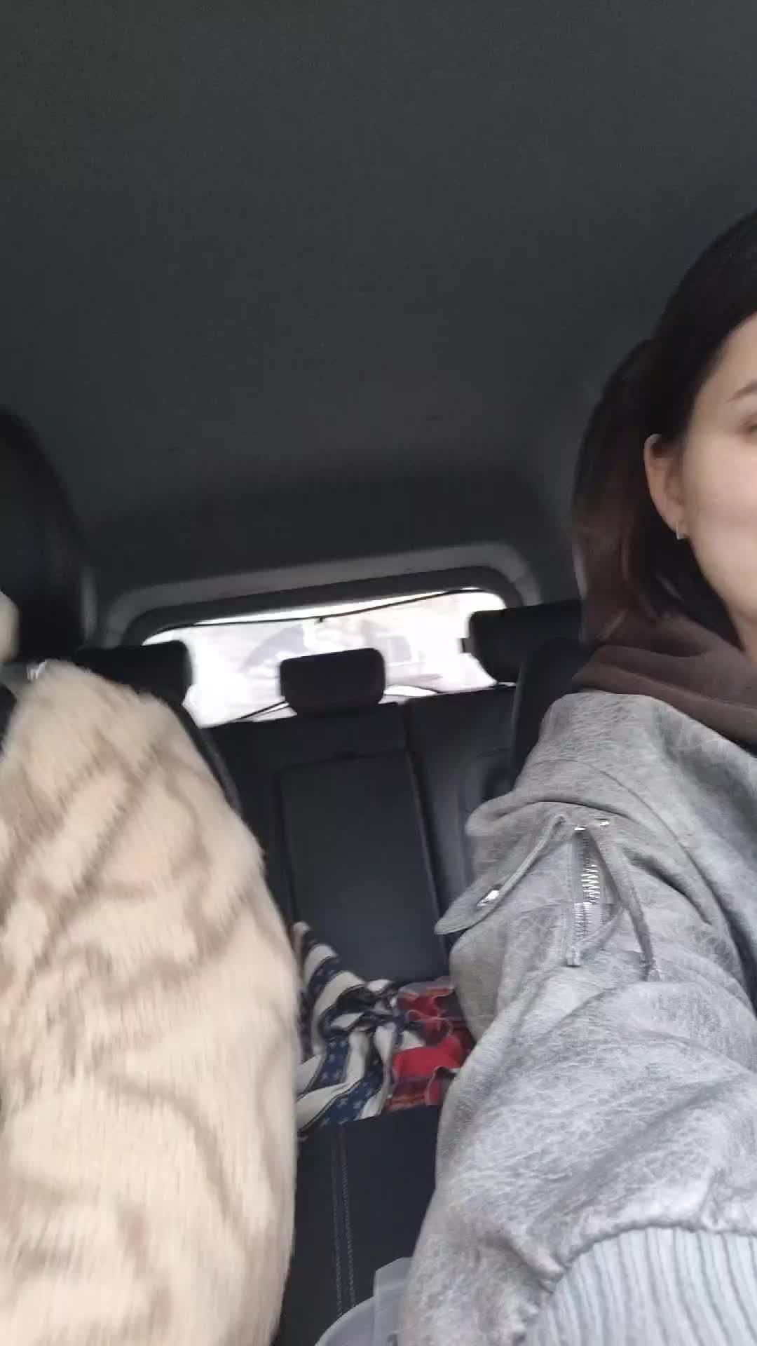 ЕДЕМ ИЗ МОСКВЫ В ТВЕРЬ ПОГУЛЯТЬ