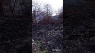 Огонь укротили