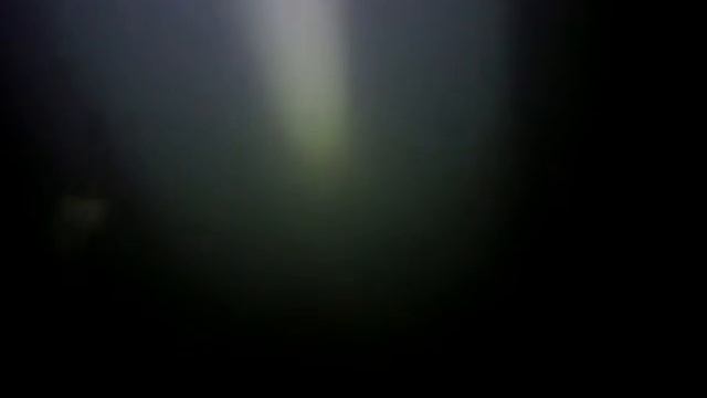 лини
