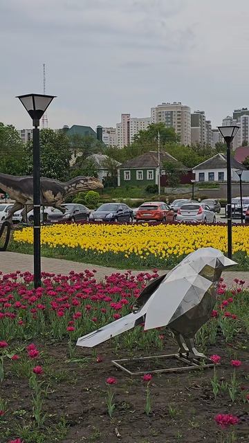 Цветы у города мастеров Мастерславль, Белгород