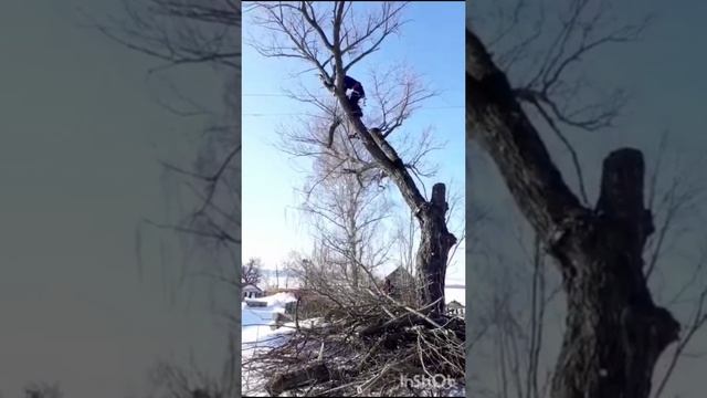 Тел WhatsApp 89657029577Спил деревьев Боровск  Жуков