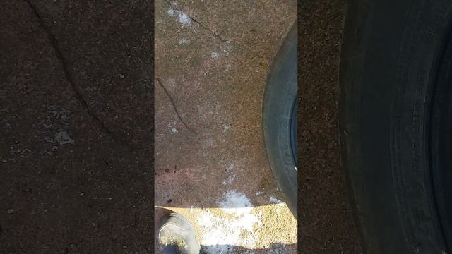 1000083085.mp4