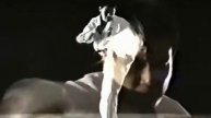Kyokushin kumite training