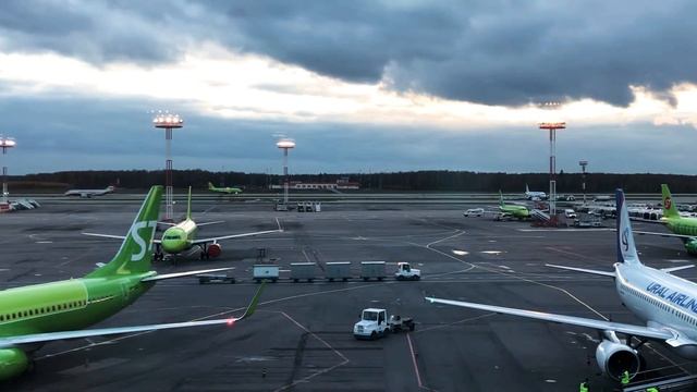 Domodedovo Airport (DME)