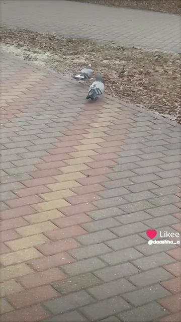 почему?зачем так придумали?🫣