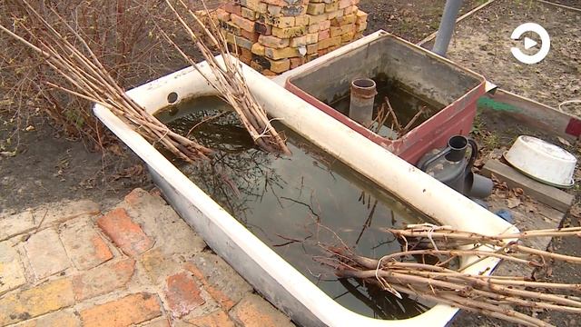 В Пензенской области стартовал сезон полевых сельскохозяйственных работ
