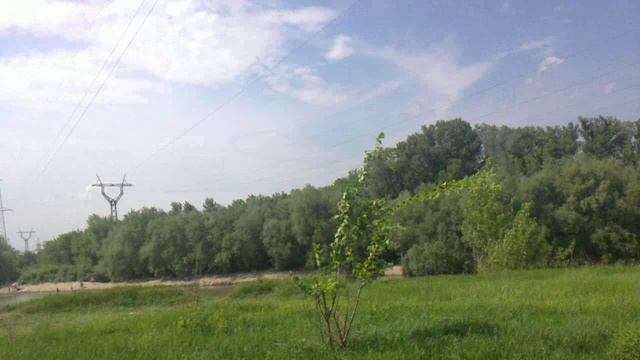 днюха2012