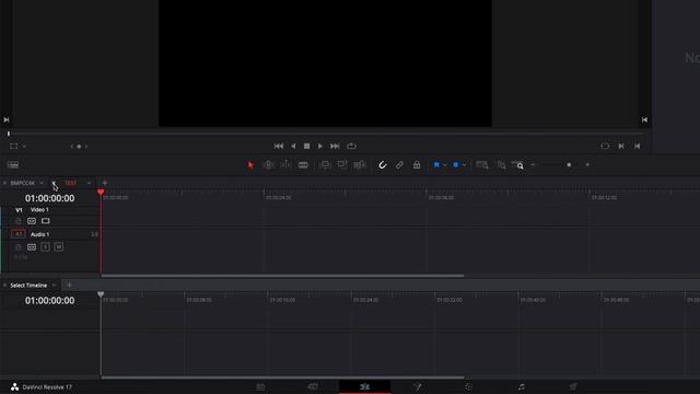 Multiple Timelines in Davinci Resolve (Edit Fast)