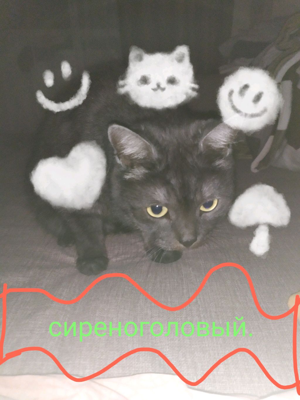 кот часть 26