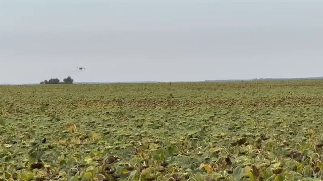 Обработка полей дроном компанией Агросфера