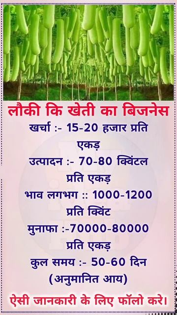 #किसान भाइयों #लौकी की #खेती करने से 70-80 हजार कमा सकते हो  #बिजनेस #business #shorts