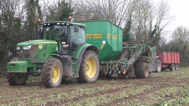 Beet 2024 John Deere 6140R & Armer Salmon TR2000