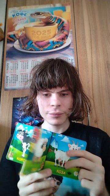 Обзор книжки