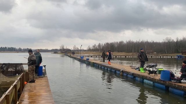 30кг форели в водоем! Ежедневные запуски форели!