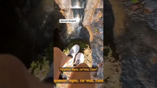 Гоа: Дикая Индия и барыги в джунглях