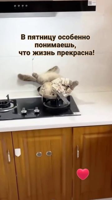 Пятница.