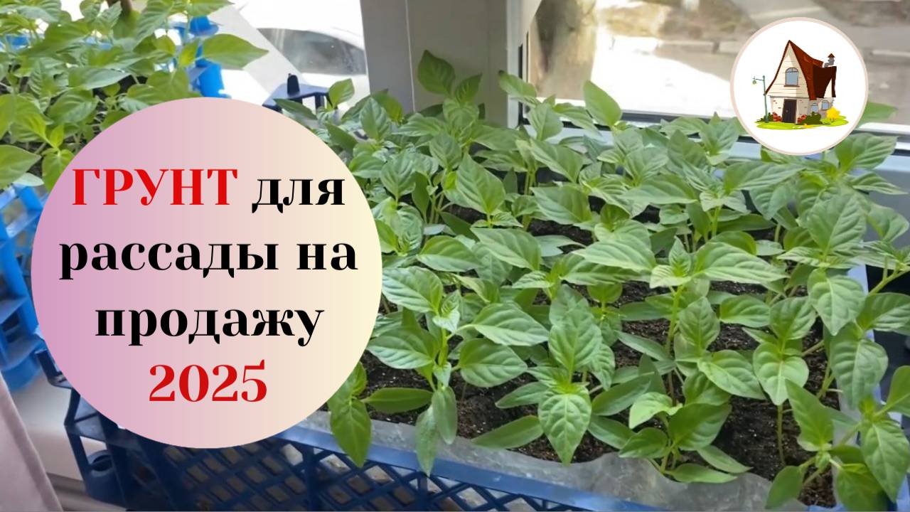 16. Рассада на продажу 2025. Составляю грунт.