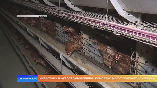 Инвесторы в агропромышленный комплекс могут получить субсидии