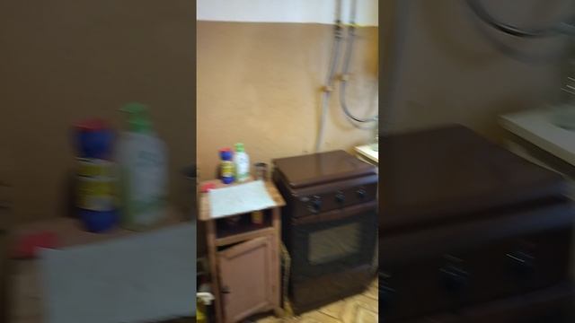 VID_20250312_131759