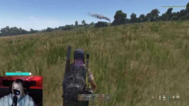 Стрим Dayz ! Играю с профи  !