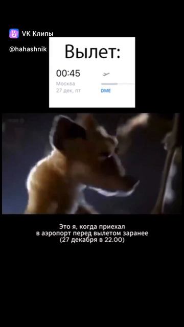 clip-179197447_456243166
