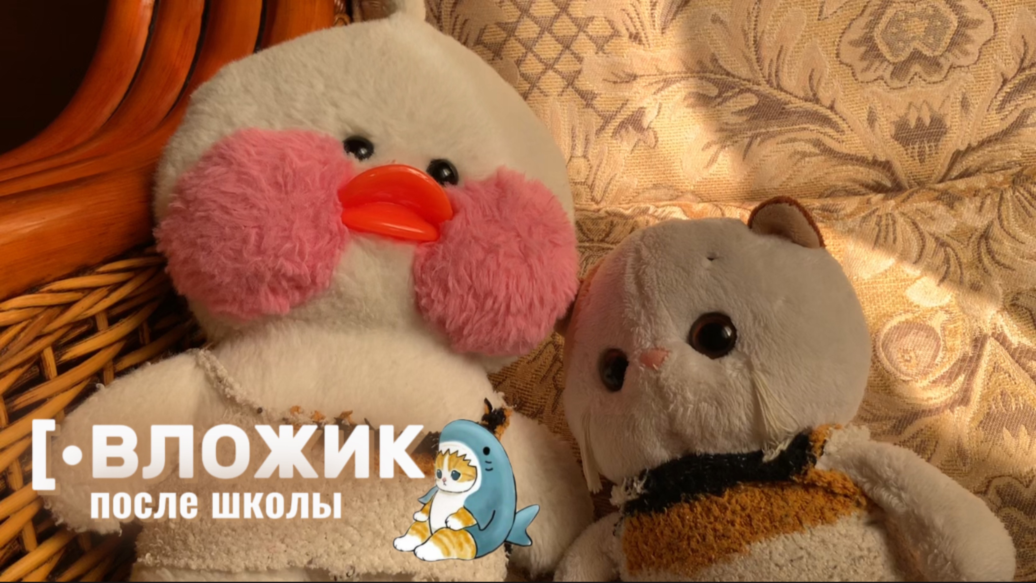 [•ВЛОЖИК после школы💗🐳