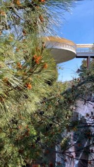 Курортный отель "Морской уголок". Крым. Алушта