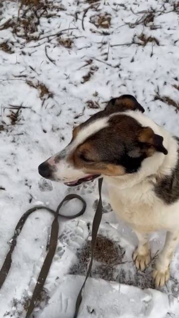 А это наш любимый Дрейк 💞