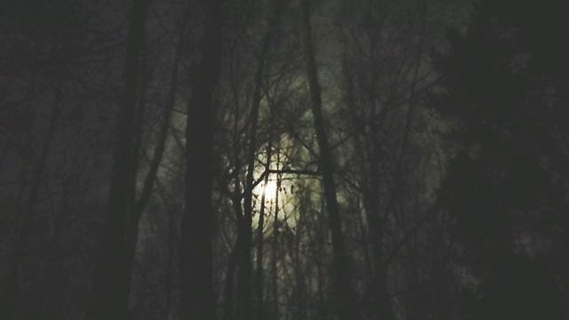 Полнолуние 🌕 14.03.2025. Коридор затмений