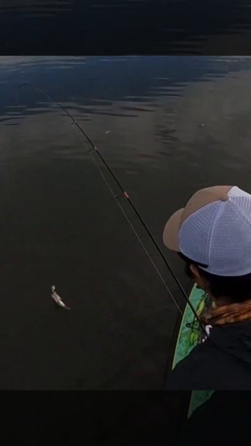 Daiwa BG 2500 Paddle board fishing