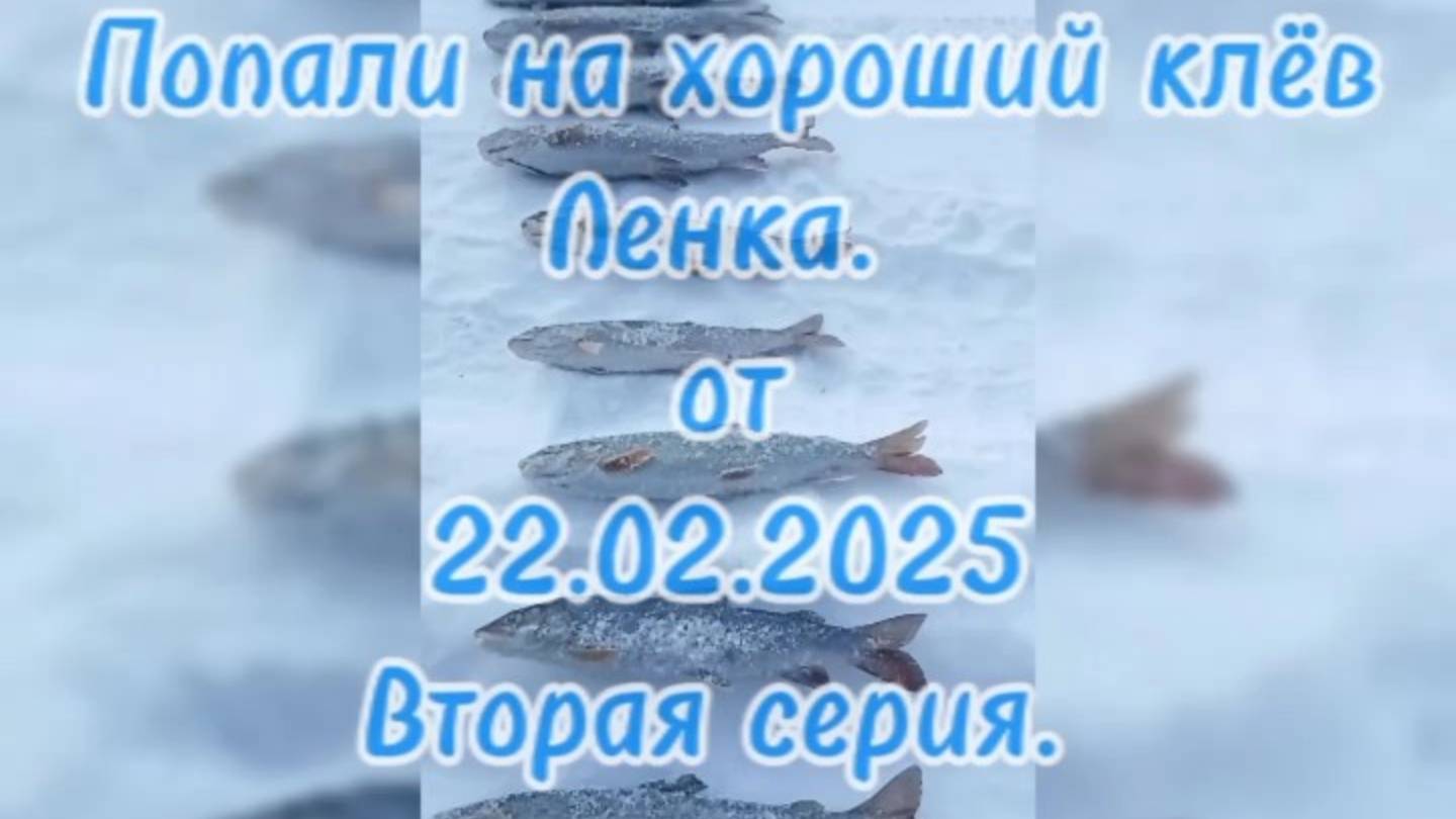 З и м н я я Р ы б а л к а. Вторая серия.