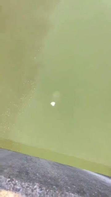 Что будет если скинуть с моста, огромный камень в воду