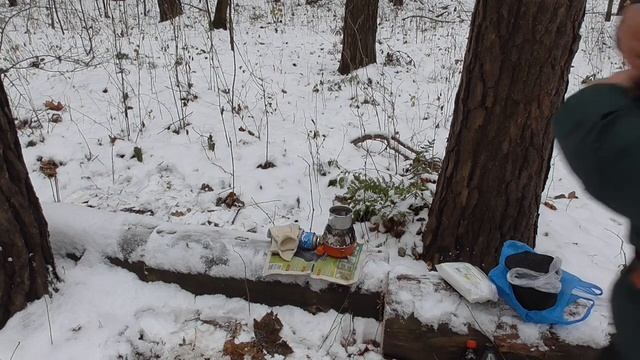 ВЛОГ ЛЕСНОЙ ОБЖОР, ДУШЕВНОЕ ЧАЕПИТИЕ В СОСНОВОМ БОРКЕ, ПЕРВЫЙ СНЕГ, 2-ЧАСТЬ НА ЧЕРНЫЙ ЧАЙ