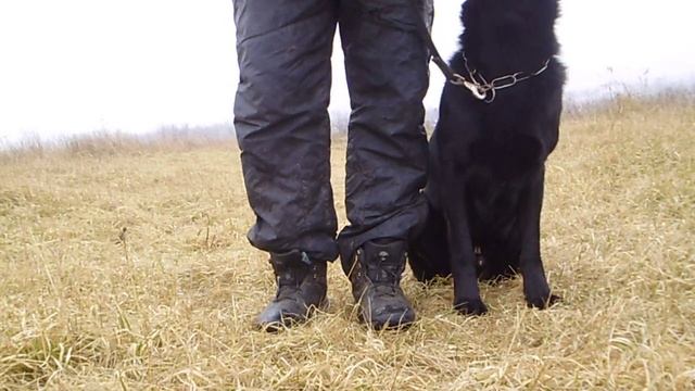 поясню за... команду "рядом" .часть 10