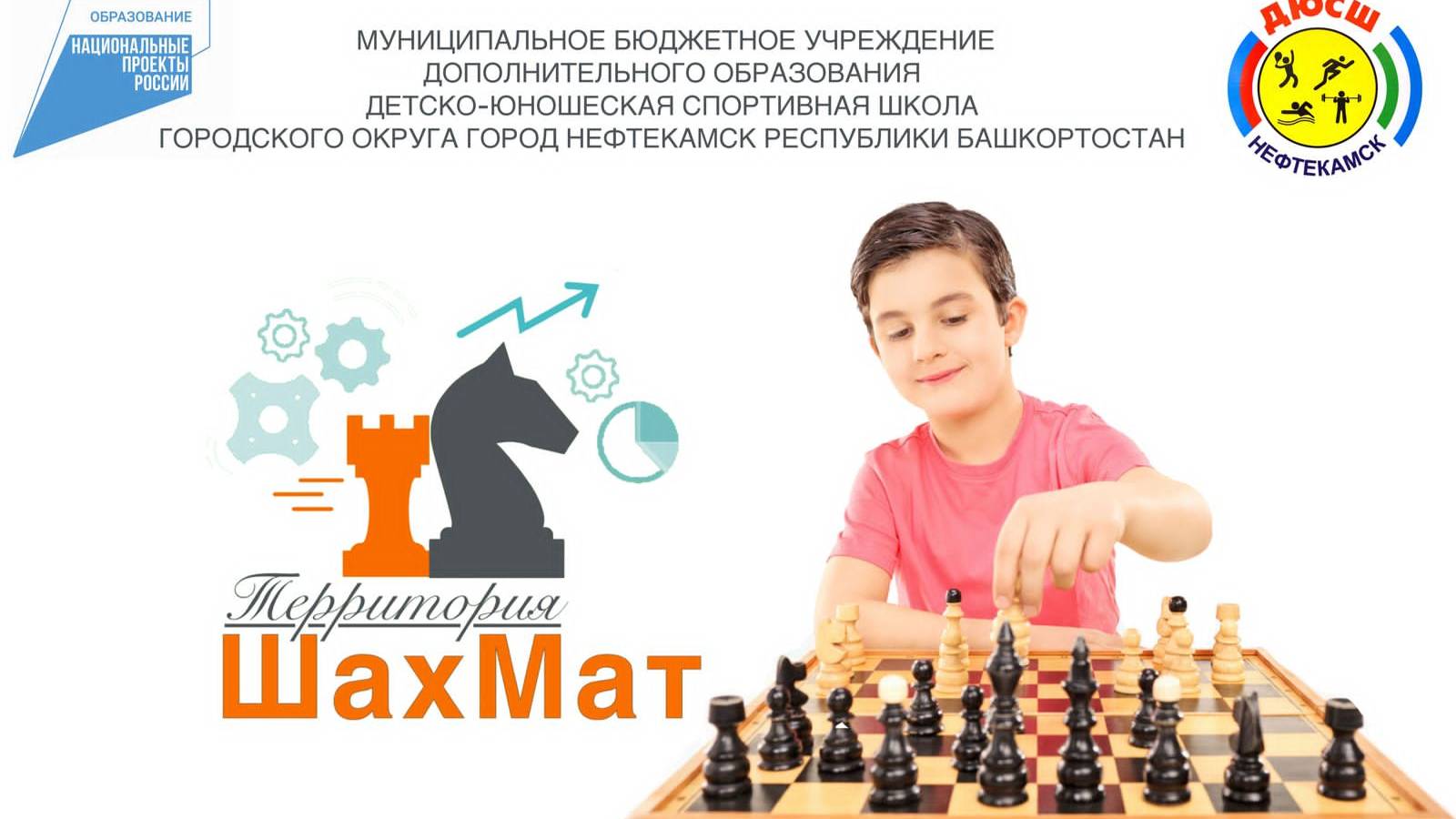 Территория шахмат