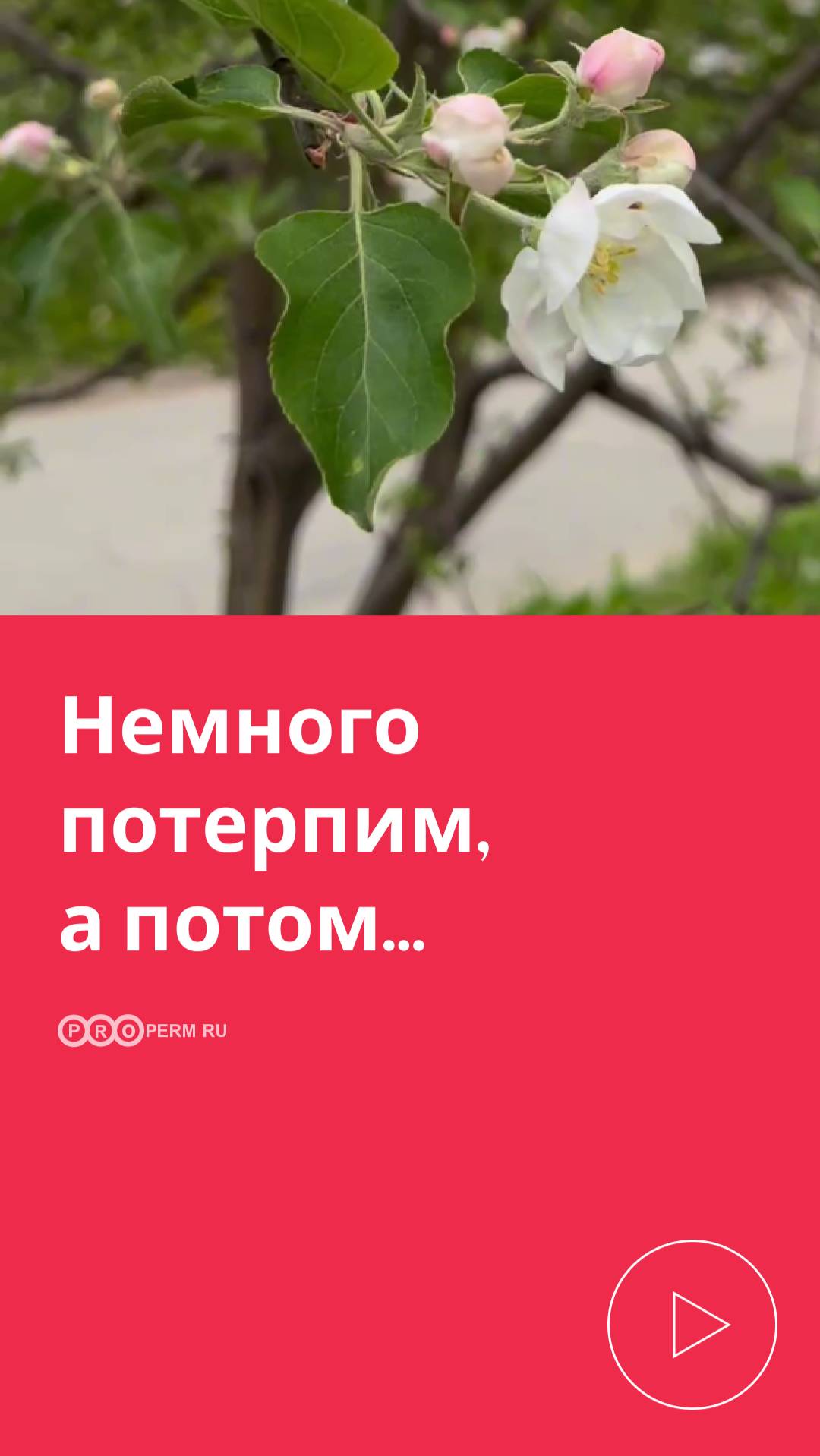 НЕМНОГО ПОТЕРПИМ, А ПОТОМ...