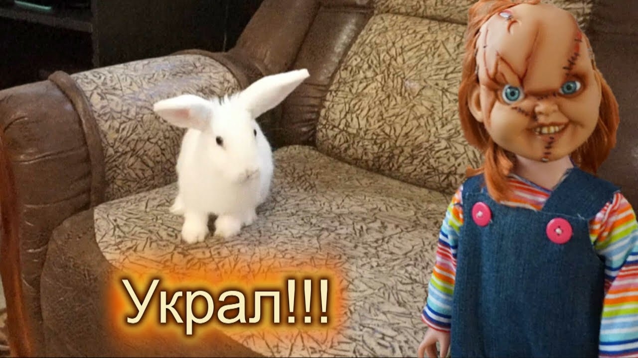 ЧАКИ УКРАЛ КРОЛИКА ЛЯЛЮ!