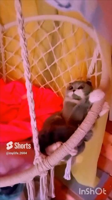 Маюшечка ❤️❤️