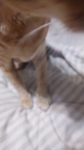 1000108308.mp4