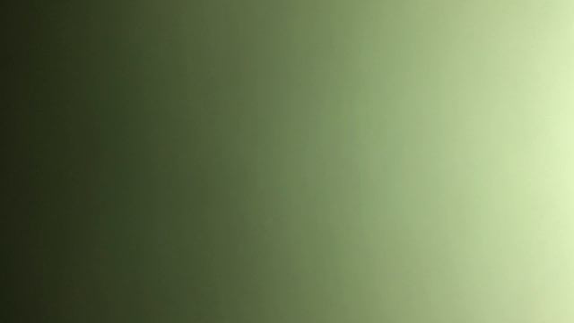 Шумел камыш деревья гнулись