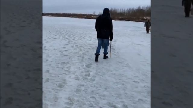 Поля из Деревки новые вайны апрель