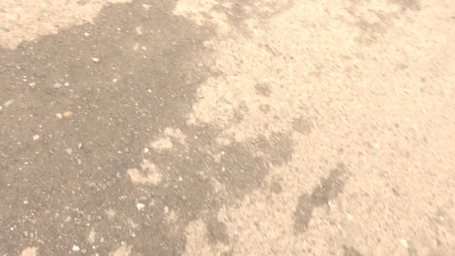 Пришел Пономарев П.Ю. из ЖКХ Ишима