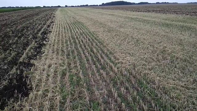 Т-150 работа на дискование